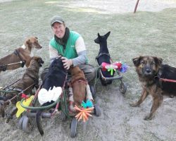 WhatsApp Image 2022-03-21 at 9.45.16 PM (1)