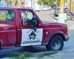 WhatsApp Image 2022-03-21 at 9.45.16 PM