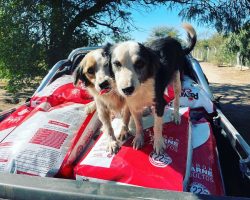 WhatsApp Image 2022-03-21 at 9.46.37 PM